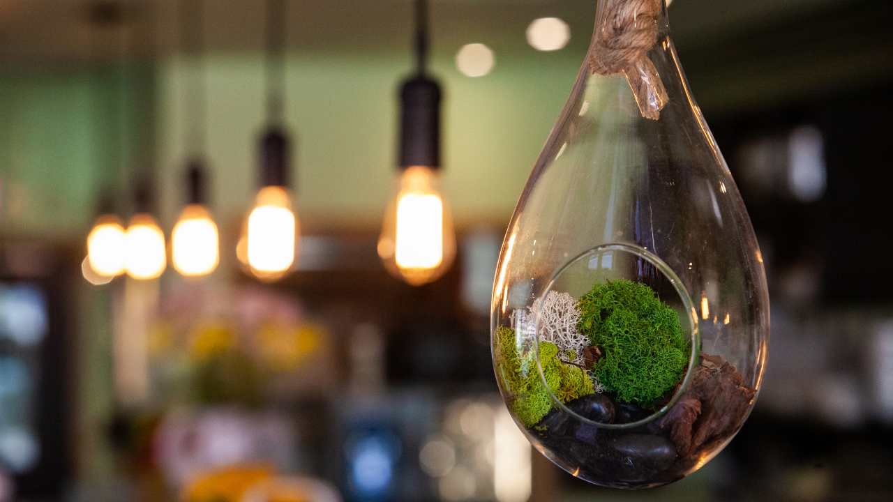 “Sustainable Design in UI: Crafting Eco-Friendly Interfaces”